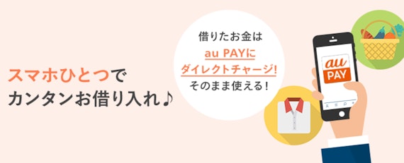 公式スクショ_aupay